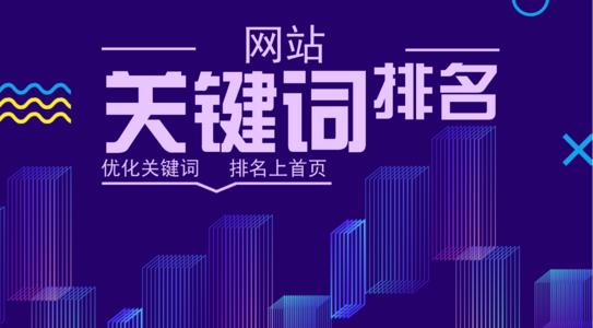 优化seo是什么_谷歌优化seo_seo优化